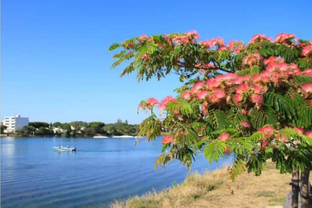 Reve Bleu Residence La Grande Pyramide Vue Port Hyper Centre Wifi Parking Prive Gratuit 외부 사진