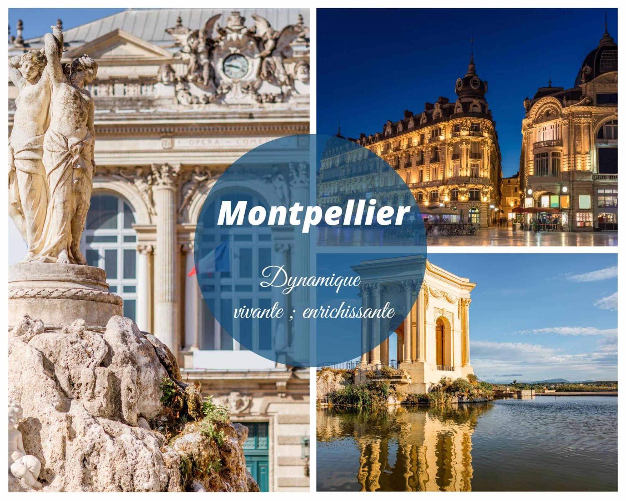 Reve Bleu Residence La Grande Pyramide Vue Port Hyper Centre Wifi Parking Prive Gratuit 외부 사진